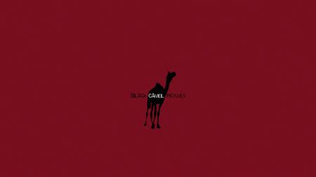 Black Camel Pictures - Audiovisual Identity Database