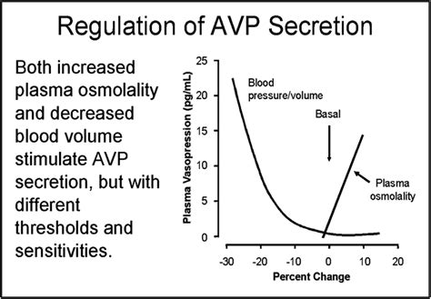 Volume and osmolar influences on ADH secretion. | Download Scientific Diagram