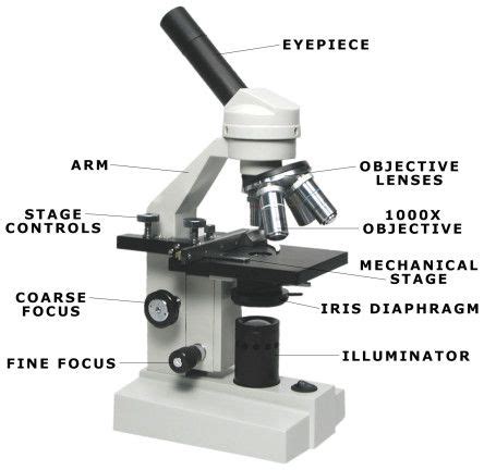 Microscope with Illuminator