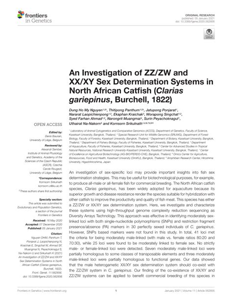 Pdf An Investigation Of Zz Zw And Xx Xy Sex Determination Systems In