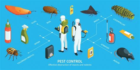 Pest Control Isometric Infographics 3417668 Vector Art At Vecteezy