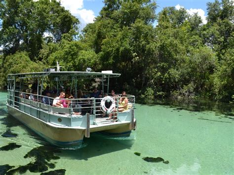 Hang With Mermaids At Weeki Wachee Springs In Florida Trips To Discover