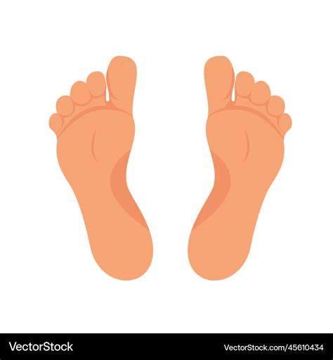 Left And Right Foot Soles Royalty Free Vector Image