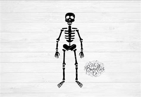 Drawing & Illustration Art & Collectibles Digital Skeleton PNG Skeleton DXF Skeleton SVG ...