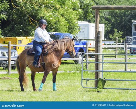 Overweight Young Woman Going Horse Riding. Editorial Photo - Image of ...