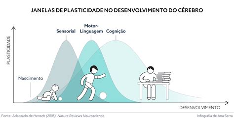 A Neuroplasticidade Ou Plasticidade Neural Como Tambem é Conhecida