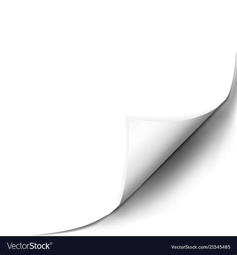 Page Curl With Shadow On Blank Sheet Of Paper Vector Image