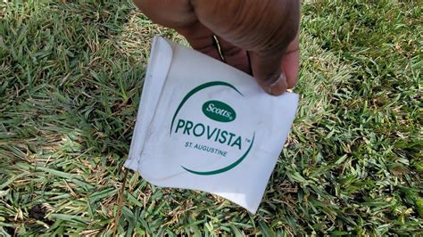 How To Install The Perfect Lawn With Scotts Provista St Augustine Sod