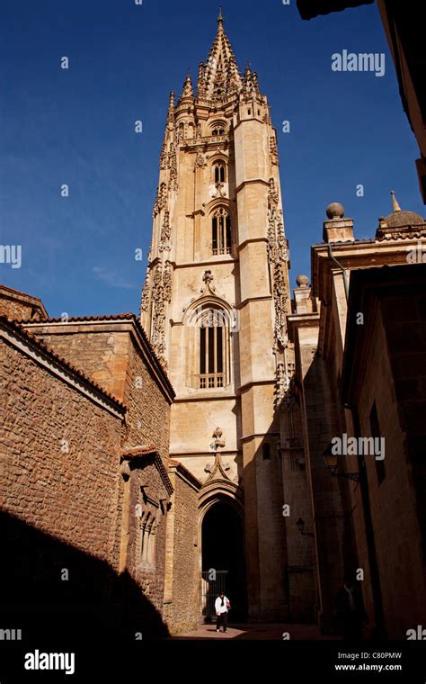 Gothic Cathedral Metropolitan Church San Salvador De Oviedo Asturias