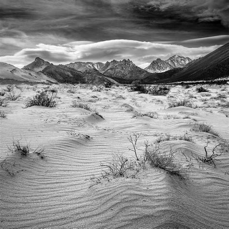 Sea Of Sand Photograph By Grant Sorenson Fine Art America