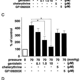 Effect Of Various Inhibitors On Pressure Induced MAPK Phosphorylation