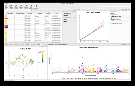 Genetic Variation Module - OmicsBox - BioBam