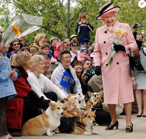 La Reine Elisabeth Ii D Angleterre Avec Ses Corgis En Au Canada