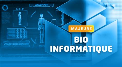 Bio Informatique Formation En Alternance Efrei