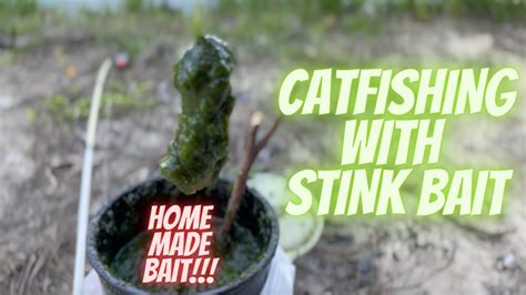 Catfishing With Home Made Stink Bait Best Recipe Youtube