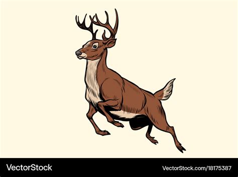 Running Deer Jump Royalty Free Vector Image Vectorstock