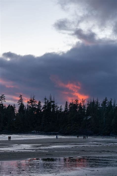 Adventures In Tofino And Ucluelet An Explorers Guide Mackenzie