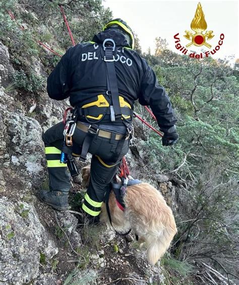 Cane Cade In Un Dirupo Nel Pisano Il Recupero Dei Vvf Reportpistoia