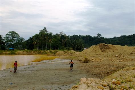 Tambang Emas Gerus Lahan Pertanian Sungai Batanghari Pun Makin Merana