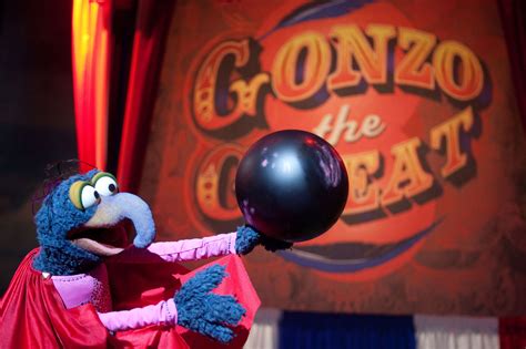 Image - The Great Gonzo.jpg | Muppet Wiki | FANDOM powered by Wikia