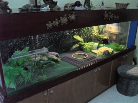 Ideas For Indoor Tortoise Enclosures : Turnkey Custom Greenhouses & Luxury | rosaiskara