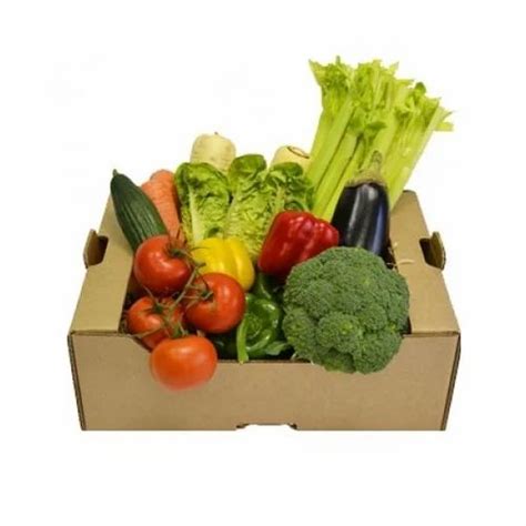 Vegetable Box at Best Price in India