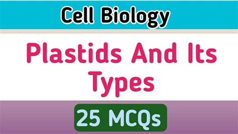 Plastids Cell Biology Types Of Plastids Youtube