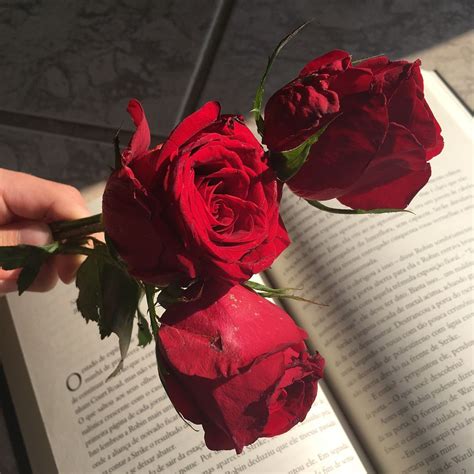 Post187158057489 Red Aesthetic Rose Tumblr Aesthetic Roses