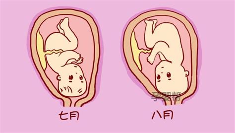 胎儿40周发育全过程图解及注意事项，准妈快来收！