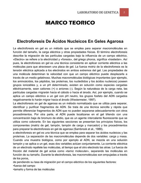 Electroforesis De Acidos Nucleicos En Geles De Agarosa Genetica Unah