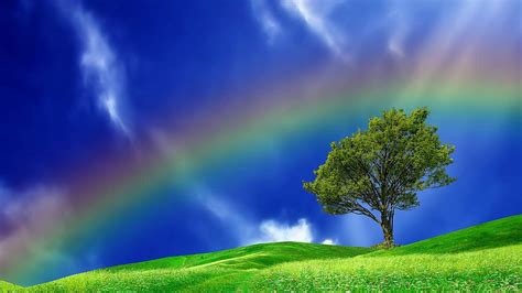 Rainbow Sky Background Wallpaper