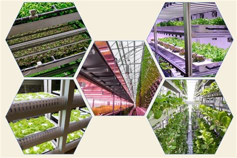 SMART VERTICAL FARMING – ssf-agtech