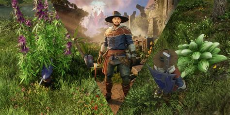 New World Aeternum Guides Game Rant