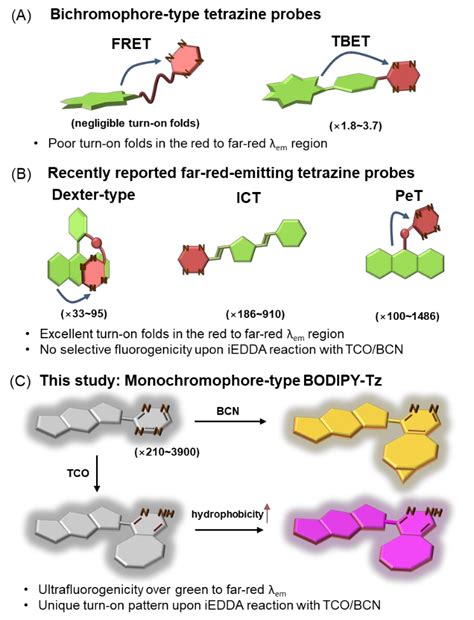 纳米人 Angew超荧光单发色团型BODIPY 四嗪系列探针用于双色生物正交成像