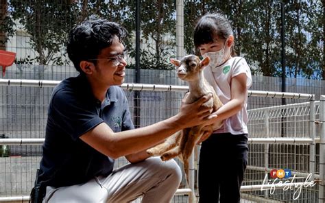 Mini Petting Zoo A Hidden Paradise In Kota Damansara Fmt