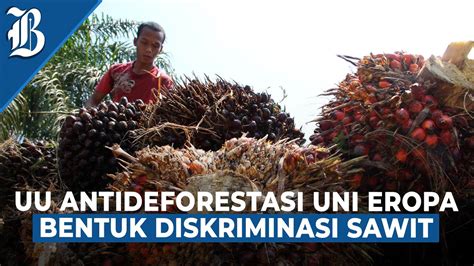 Indonesia Dan Malaysia Desak Uni Eropa Tunda Uu Anti Deforestasi Youtube