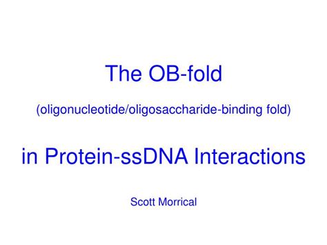 Ppt The Ob Fold Oligonucleotide Oligosaccharide Binding Fold In