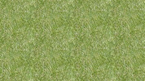 Grass 3d Warehouse