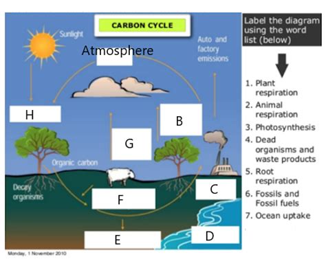 Carbon Cycle Diagram Labels Diagram Quizlet