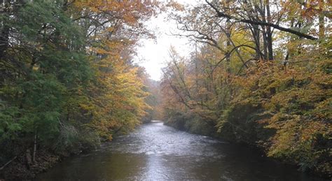 Davidson River Campground — Pisgah Campgrounds