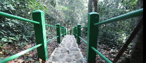 Discovering The Majestic Ekom Nkam Waterfalls In Cameroon