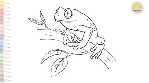 Tree Frog Drawing