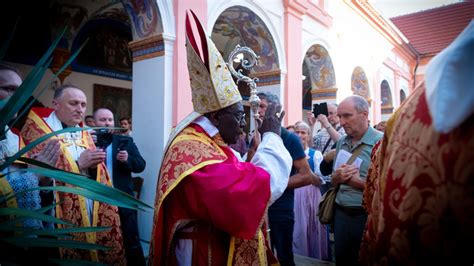 Priesterbruderschaft St Petrus Kardinal Sarah In Rimov