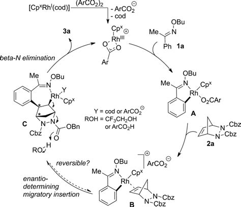 Suggested Mechanism And Potential Points Of Influence Of The Cod Ligand