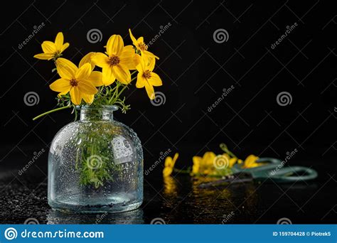 Fresh Wild Flowers In A Glass Vase On A Dark Table Beautiful Colorful