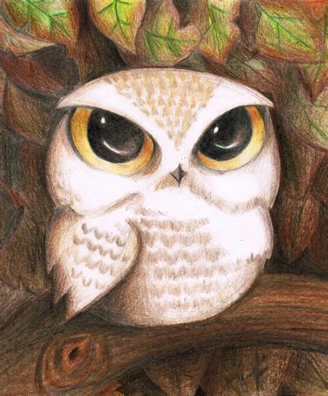 Cute Baby Owl Drawing at GetDrawings | Free download