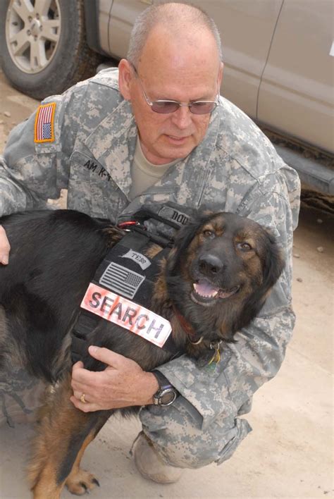 Dvids Images Military Working Dogs Image 1 Of 16