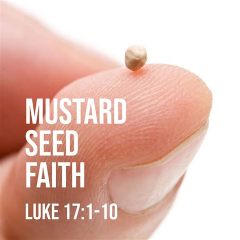 Top 103 Pictures Bible Verse Faith As Small As A Mustard Seed Latest