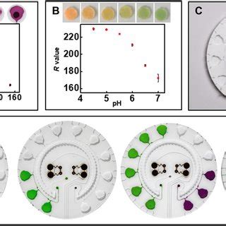 Colorimetric assay characterization. Calibration and corresponding ...