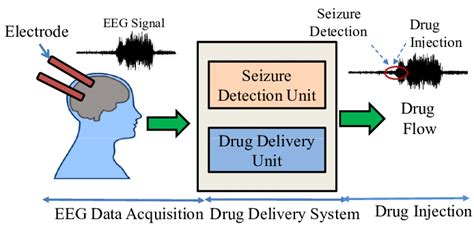 Block Diagram Of The Drug Delivery System Dds Download Scientific